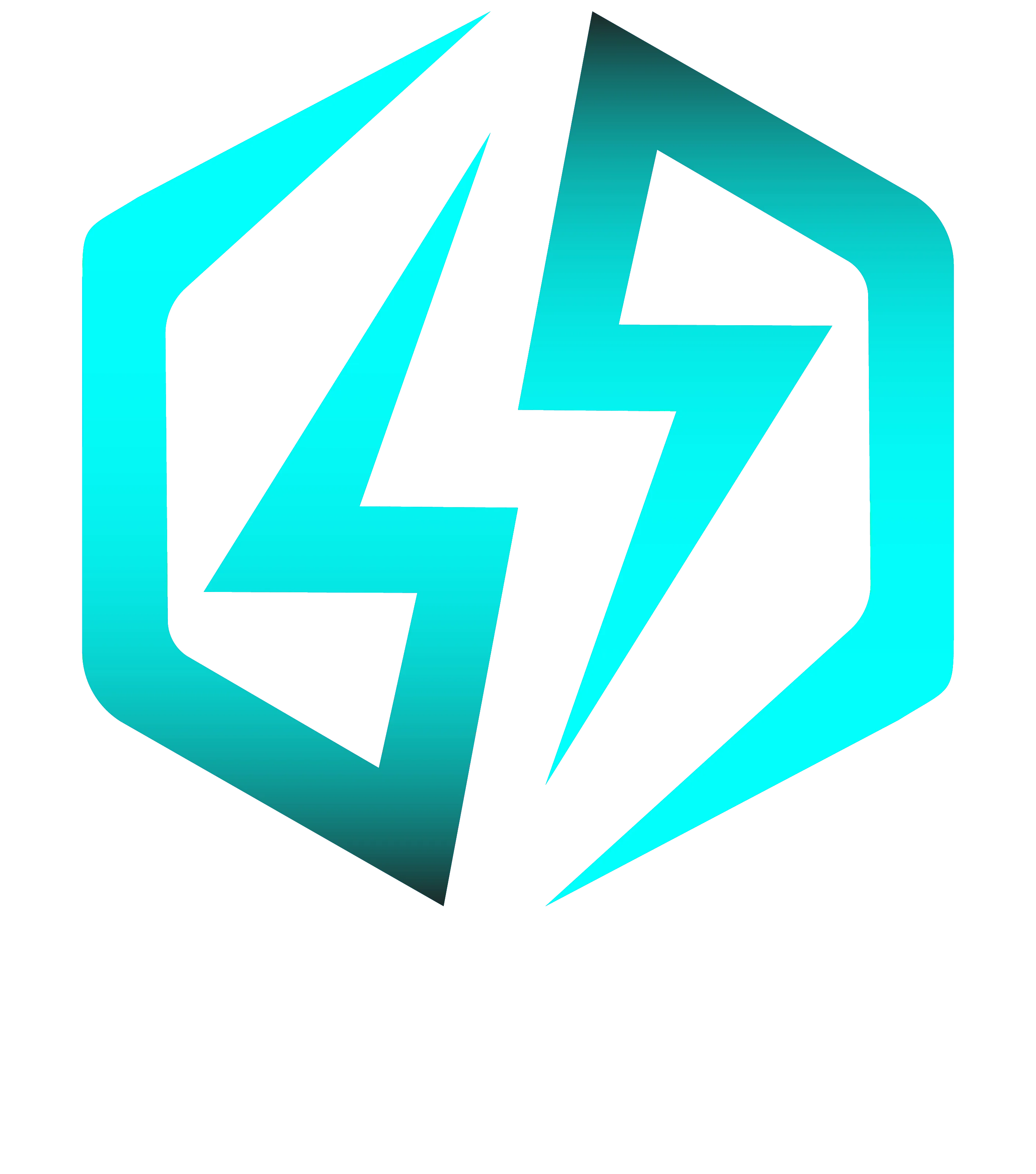 CodecoSoft